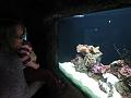 Seattle Aquarium 26